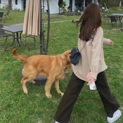 欲海残花